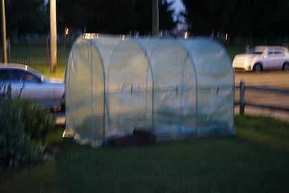 green house