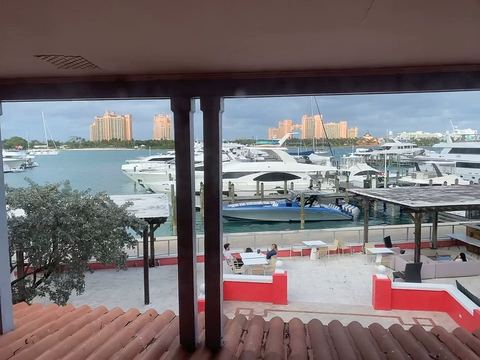 Marina Views