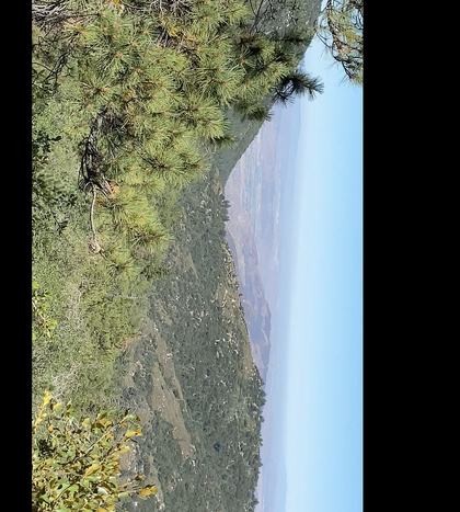Idyllwild Chats